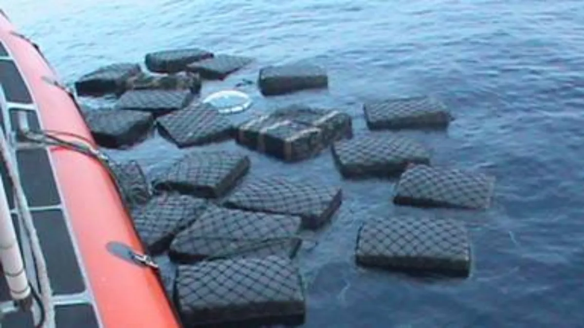 Las acciones que violen la ley de pesca, como la captura y el tráfico de especies protegidas en el mercado negro.