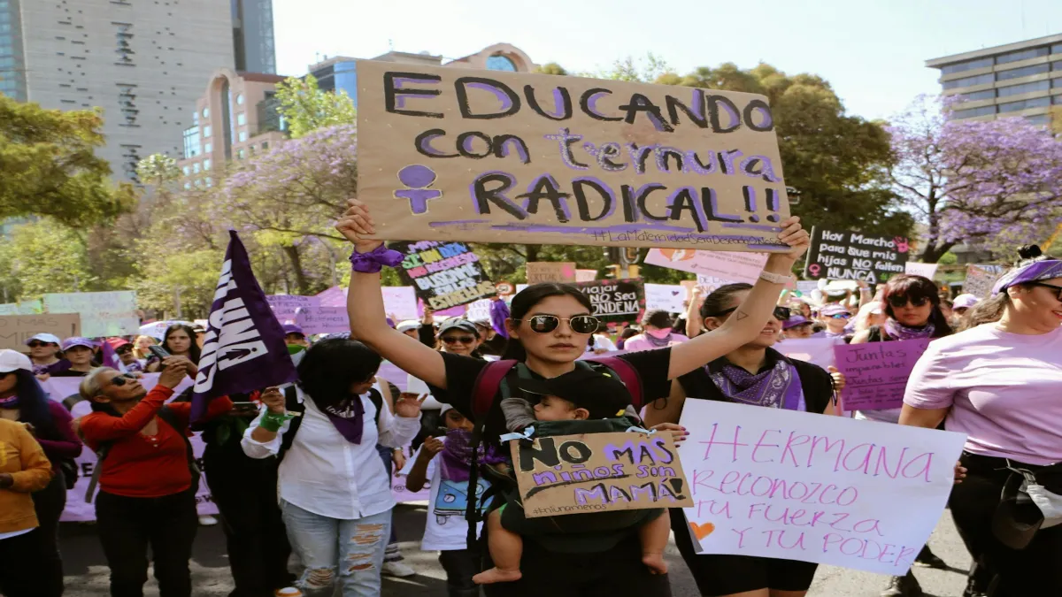 La creación de juzgados mixtos especializados en violencia de género; una Defensoría de las Mujeres.