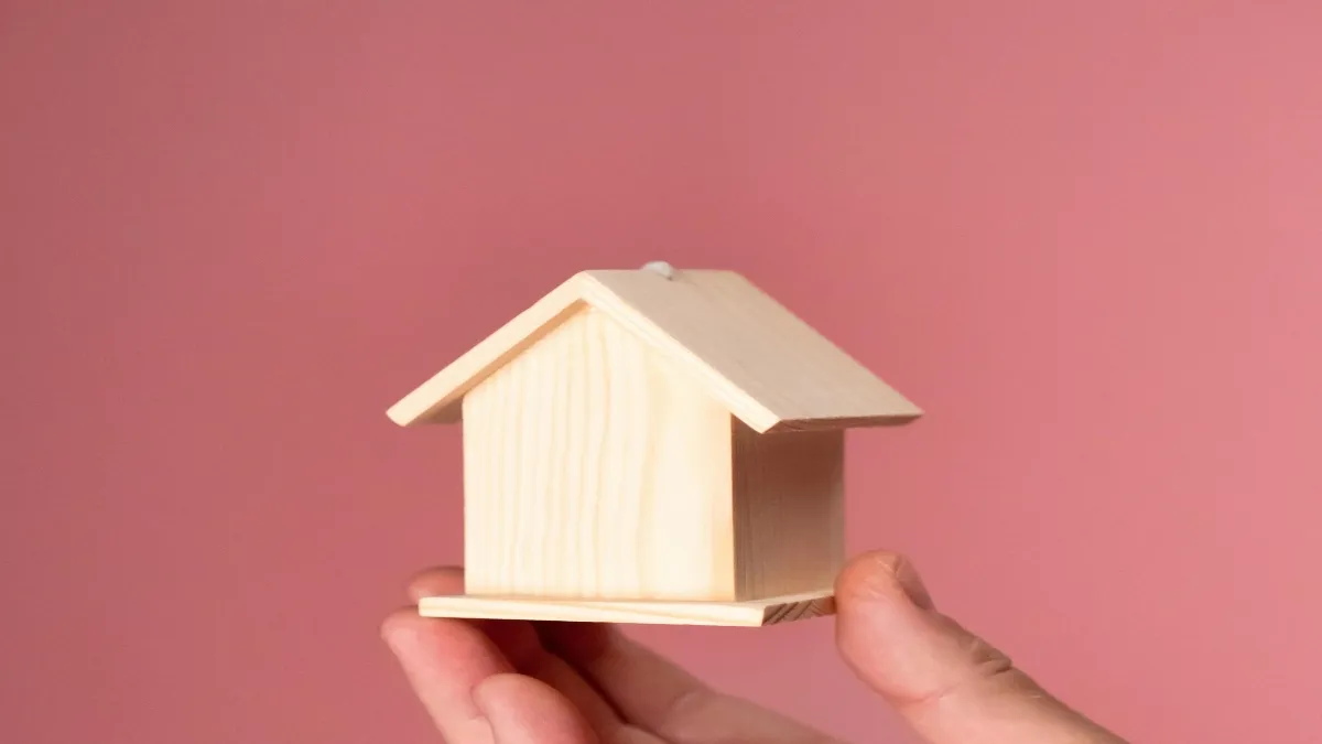 Que son las que todavía el terreno para el desarrollador no es tan caro y pueden esté ofertando este tipo de vivienda.