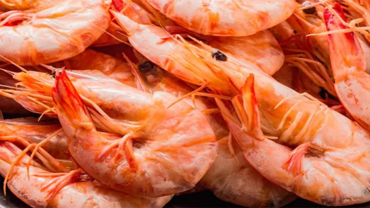 En 2024, fueron ocho mil 635 toneladas en producción de camarón, una cifra menor a la del 2023.