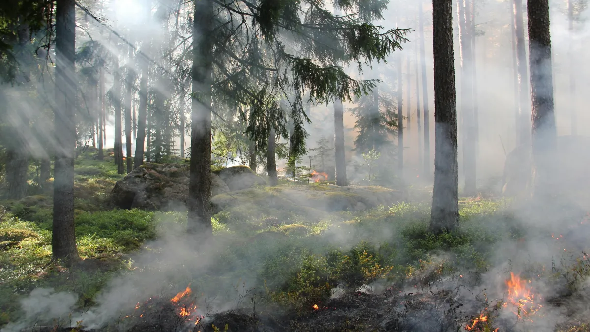 Se los dábamos a Conafor para poder enfrentar de mejor manera los incendios.
