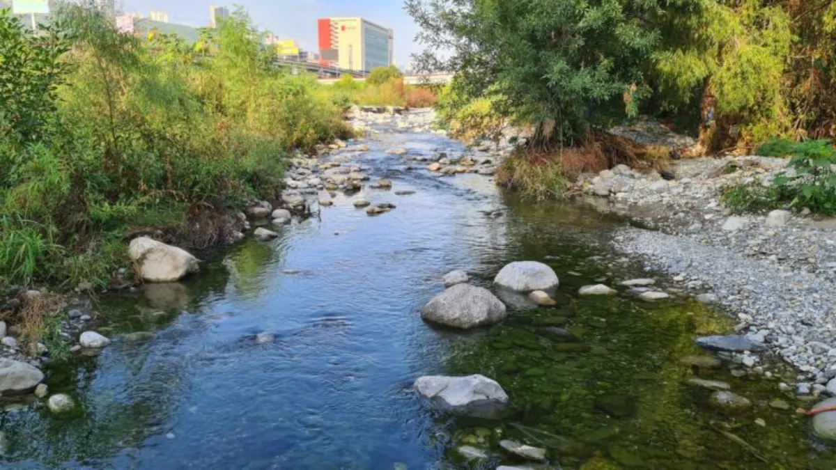Y, por supuesto, cada mes organizan las visitas de Conecta con el Río.