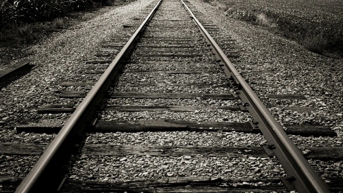 Ya hicimos el recorrido en el tren, va avanzando muy rápido. Yo creo que ha de ir un 8 por ciento según mis cálculos.