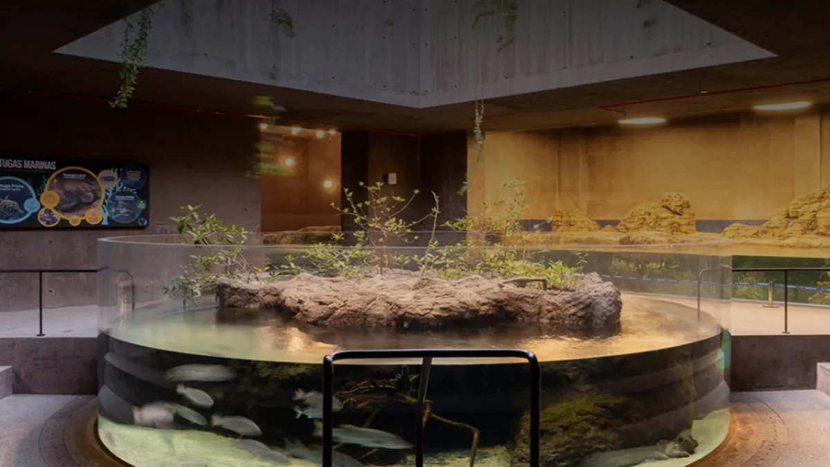 Obra que formaba parte del plan maestro original de este espacio, pero que fue puesta en pausa para dar prioridad al Acuario.