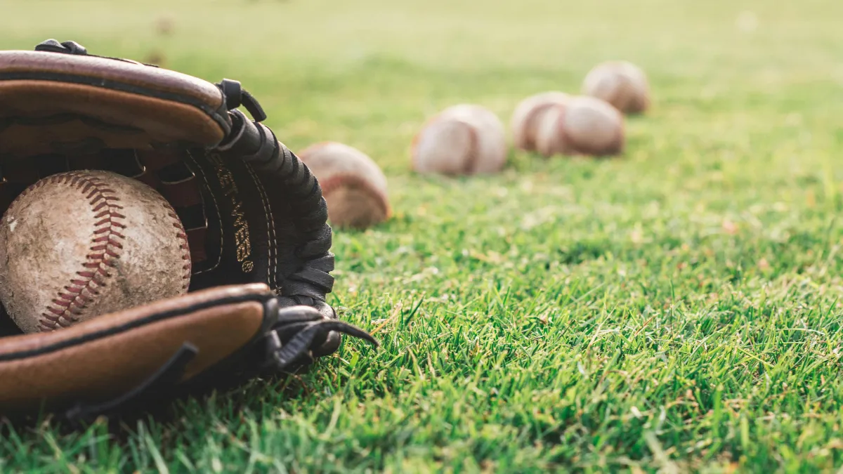 Consolidarse como una de las ligas invernales más competitivas del mundo, llevando la emoción del beisbol a nuevos horizontes.