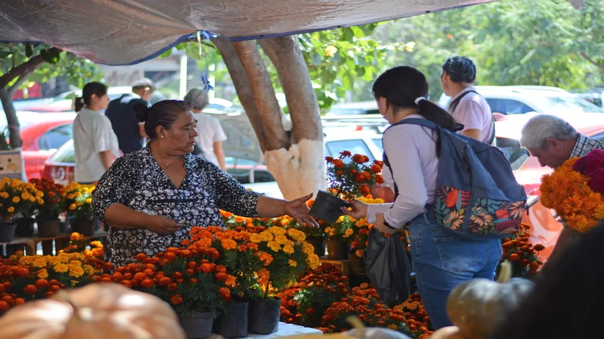 La flor de cempasúchil, también llamada cempoalxóchitl, flor de muerto, flor de los 400 pétalos o veinte flores.