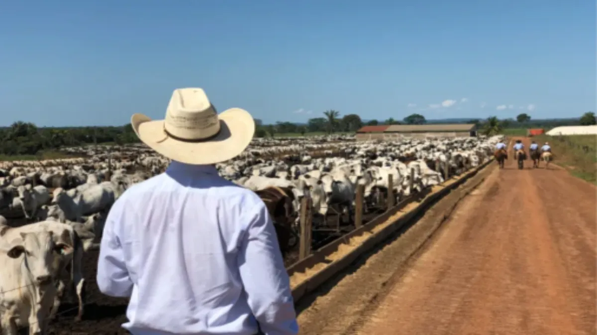 Los ganaderos de Sinaloa enfrentan una doble expectativa.