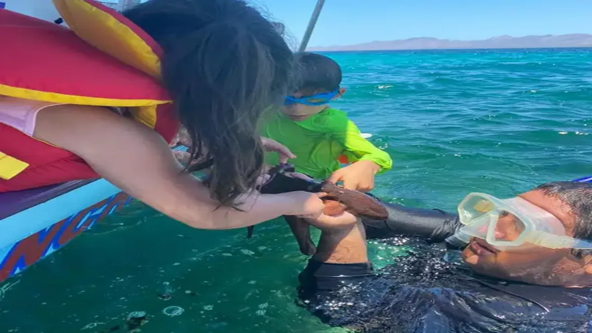 Hablando de playas, entre Loreto y la Heroica Mulegé, se encuentra a Bahía Concepción.