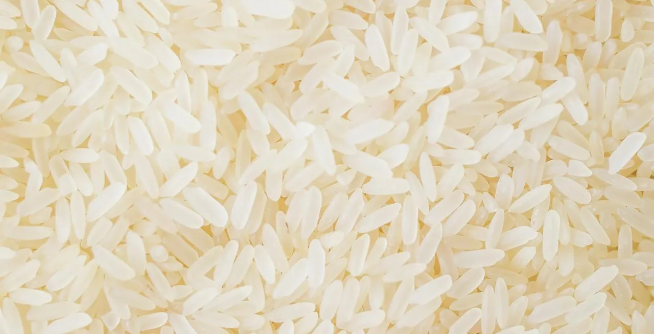 Arroz, maíz y soya continúan como los tres principales productos agrícolas del país.