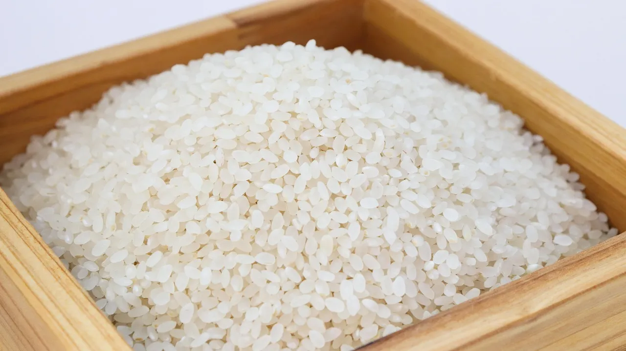 Hubo una reducción de 25 por ciento en la producción nacional de arroz debido a fenómenos climáticos.