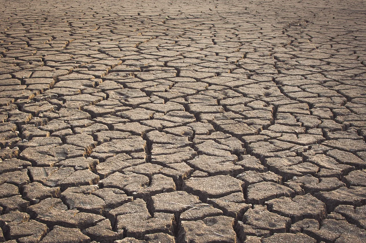 De acuerdo con la información publicada por CONAGUA, Sinaloa es el estado que más agua demanda a nivel nacional.