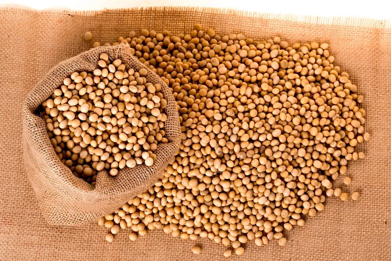 El incremento salarial perjudica de sobremanera al productor agropecuario.