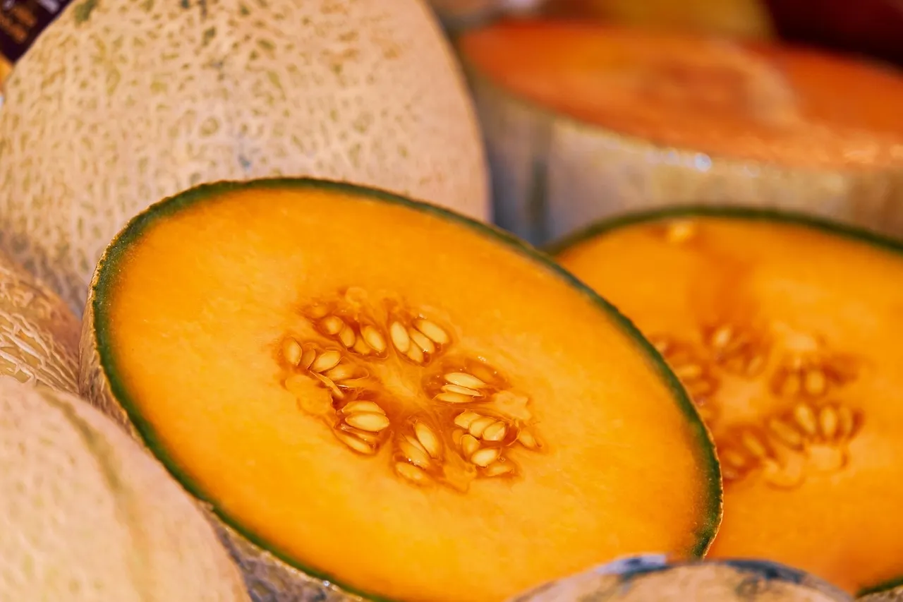 Las frutas más exportadas fueron melones, sandías, limones y limas, mangos y bananas.