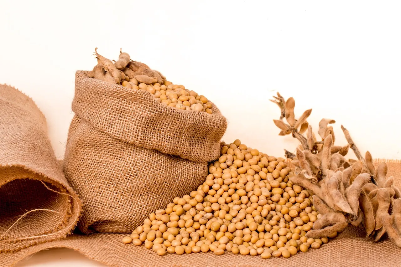 Brasil es el mayor productor mundial de soya.