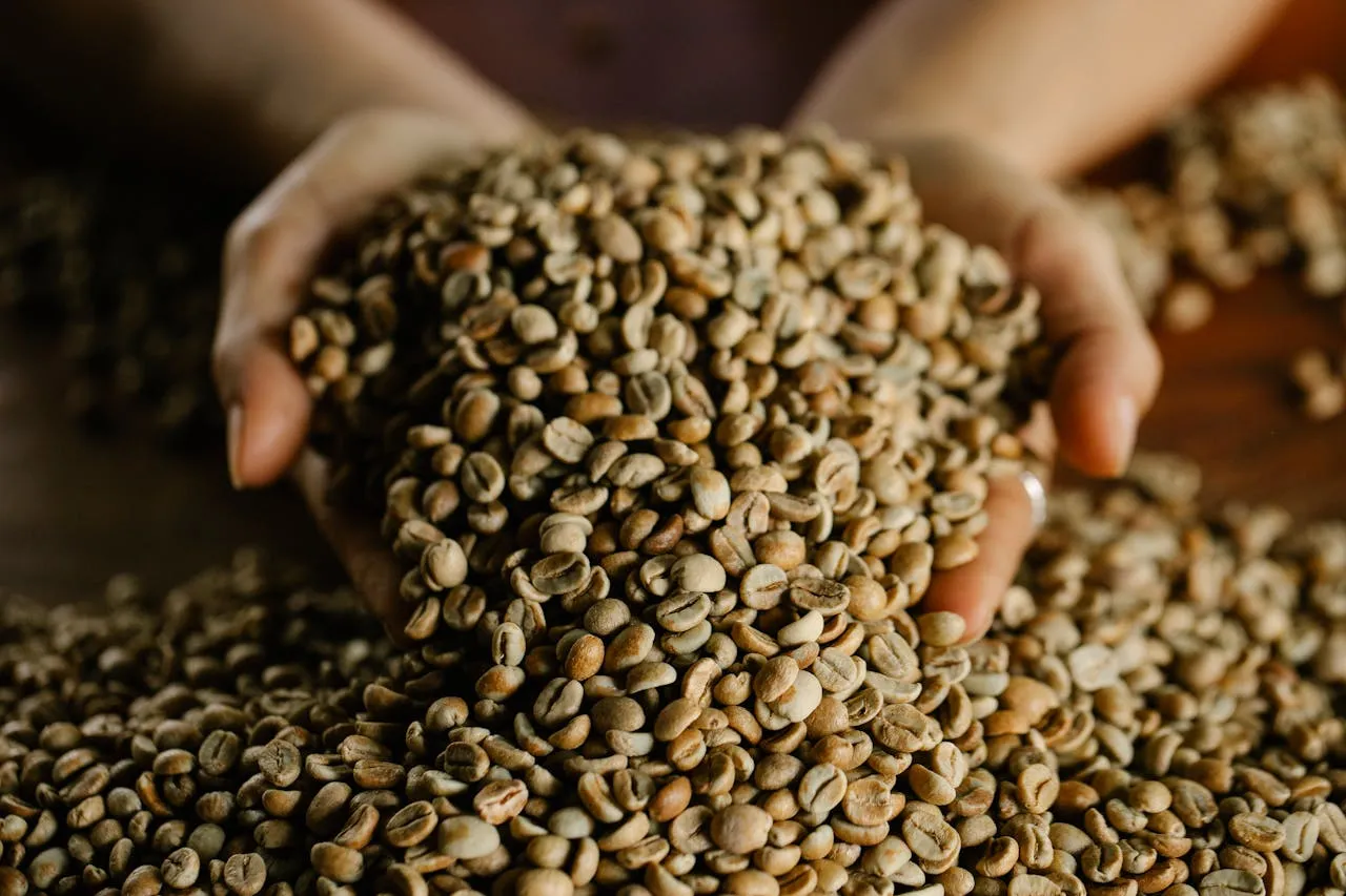 En abril, las exportaciones del agro brasileño sumaron 15 mil 030 millones de dólares.
