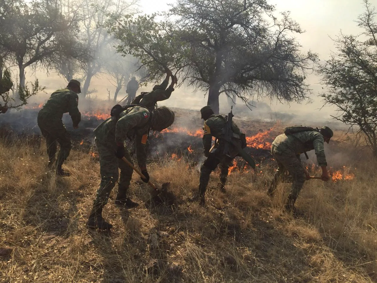 Incendios consumen 14 mil hectáreas de cerros y montañas Baja California