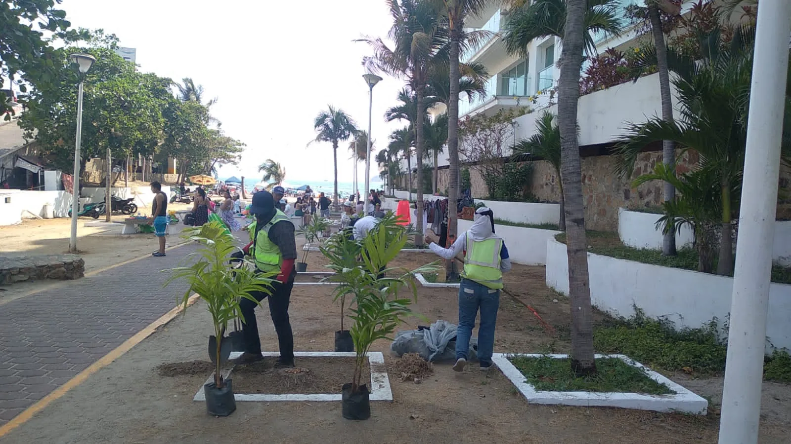 Urgen reforestación y rescate de áreas verdes en Acapulco