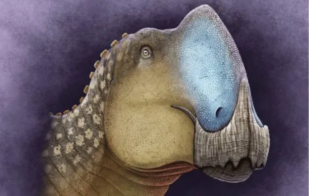 El Coahuilasaurus lipanip fue hallado durante los años 80 en Coahuila.