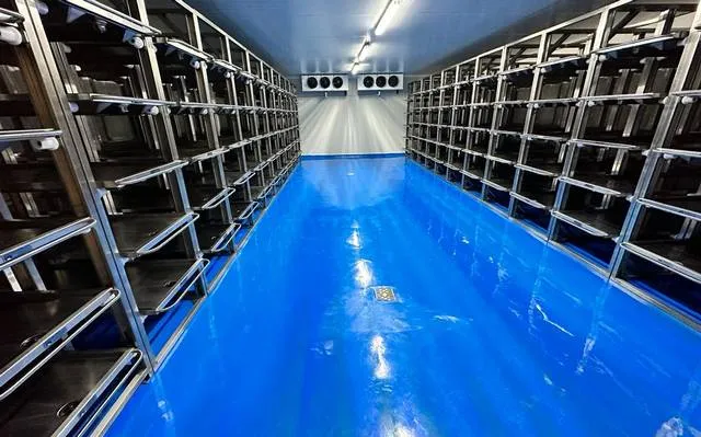 El Servicio Médico Forense de BC suma 350 cuerpos positivos a fentanilo