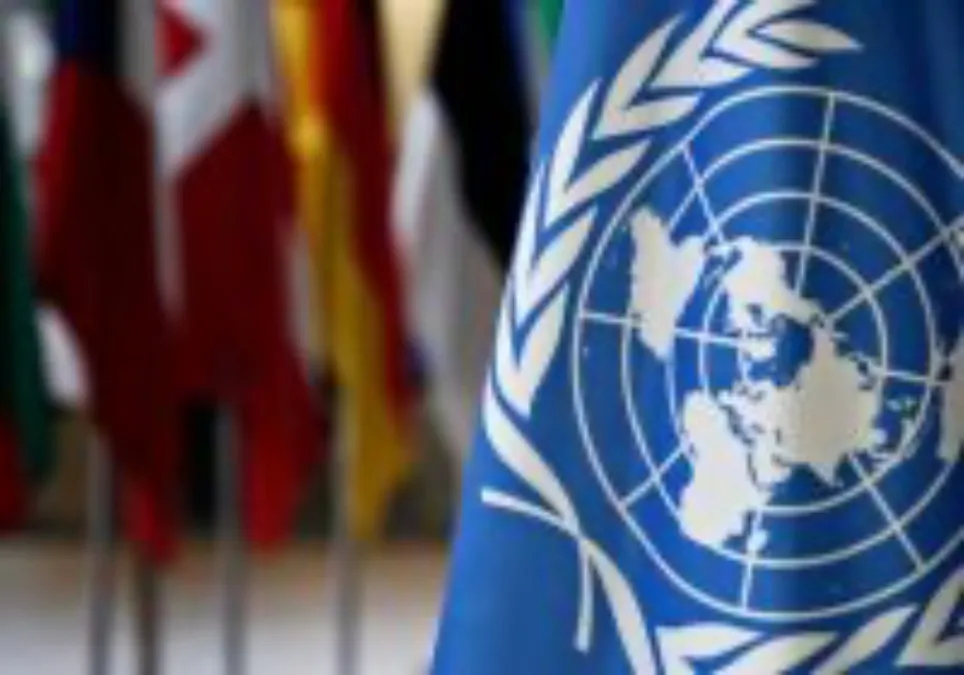 En varias ediciones de la revista digital los artículos están acompañados del logotipo e imagen de la ONU.