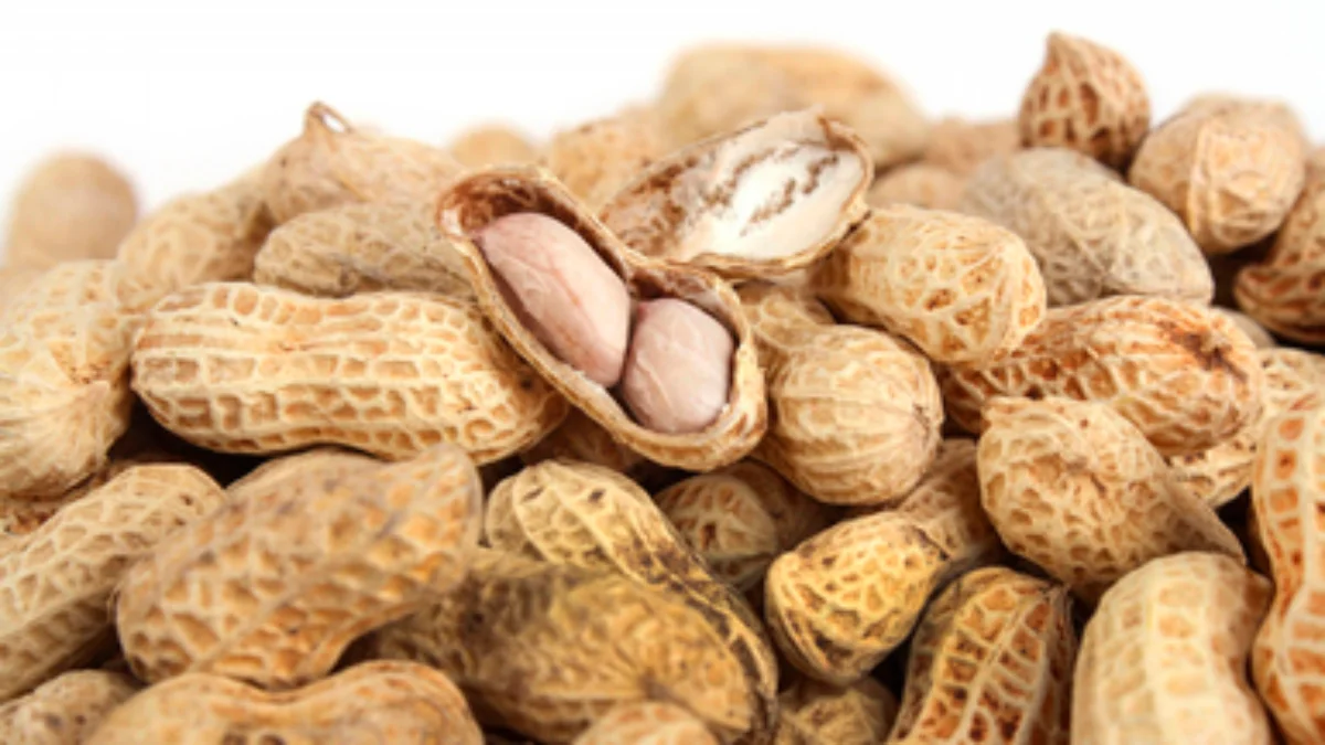 El cacahuate es mucho más que un simple snack; su versatilidad en la cocina permite disfrutarlo.