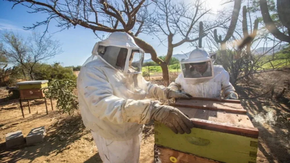 El rancho, operado por Innovaciones Alumbra, desarrolla un modelo de producción regenerativa.