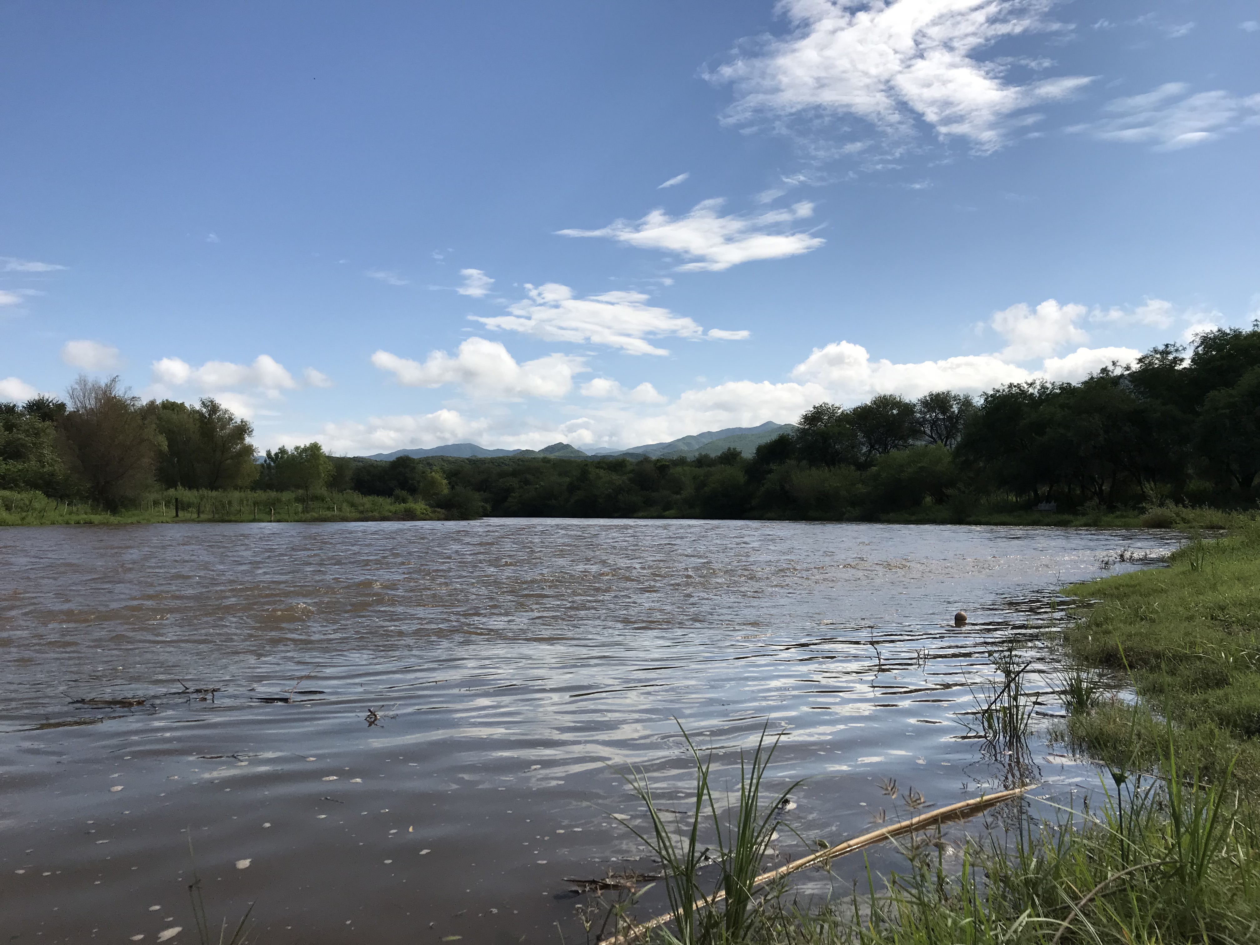 Contingencia ambiental en el Río Yaqui de Sonora