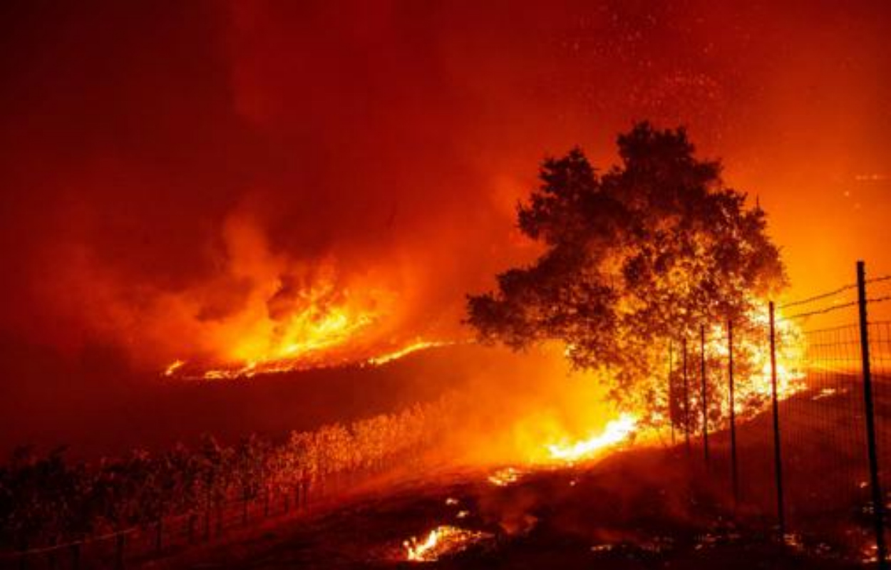 Los gobiernos deben desarrollar planes de acción para mitigar riesgos de incendios forestales: Marsh