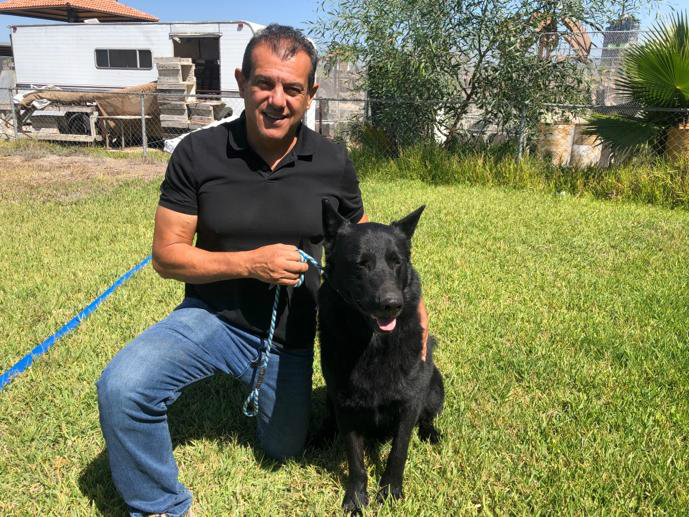 Jorge Hank Rohn rescata en un criadero a la raza de perro lobo mexicano