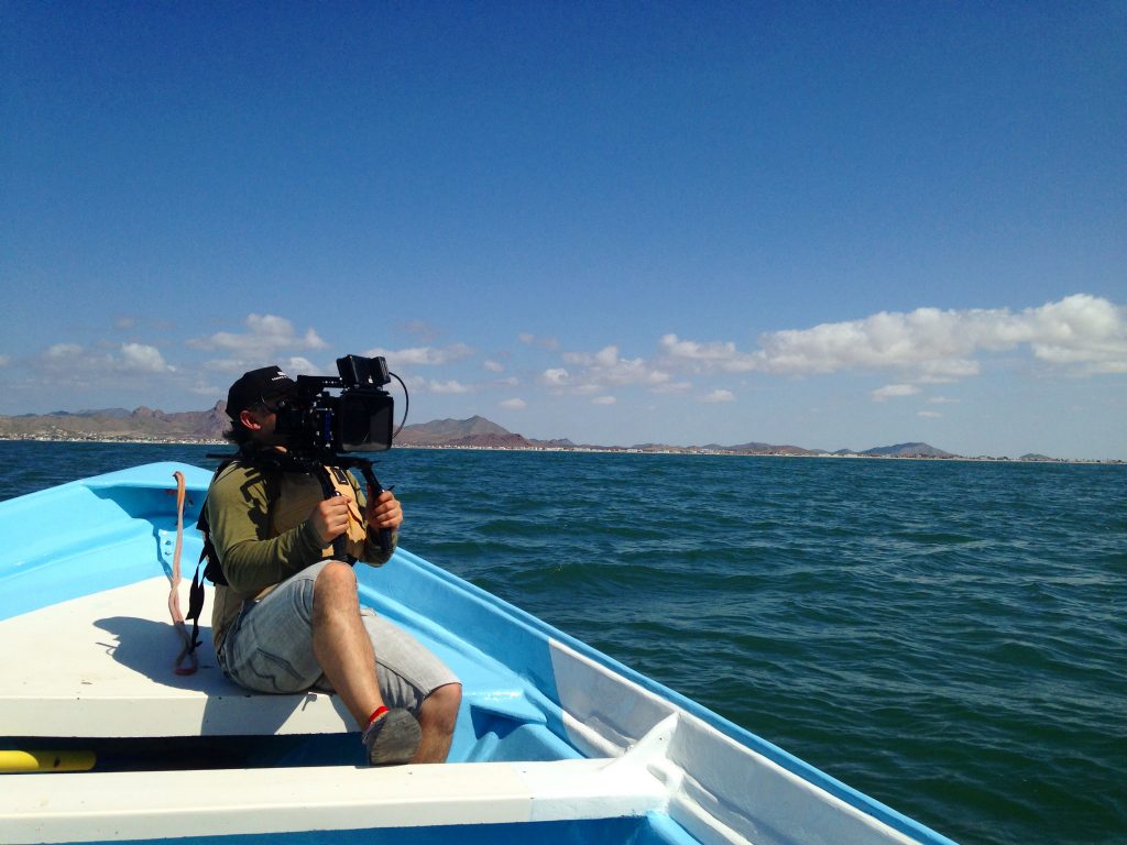 El documental busca rescatar y dar a conocer la riqueza natural de Bahía de Kino. Cortesía: Jacalito Films