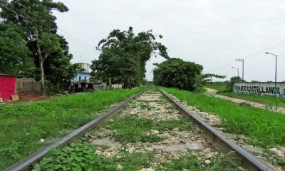 Empresa China y Mota-Engil ganan licitación para construir primer tramo del Tren Maya