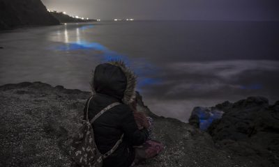 bioluminiscencia Tijuana