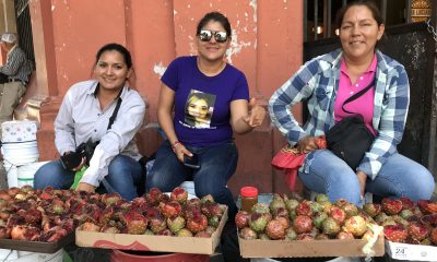 La familia Chávez vende su pitaya en el Mercado de Hermosillo en 2019
