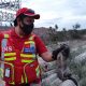 Protección Civil rescata a cinco zorros cachorros
