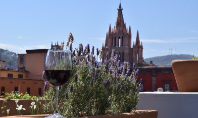 enoturismo vinos Guanajuato