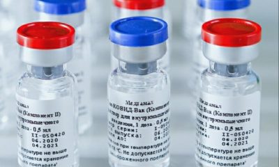 vacuna covid investigación