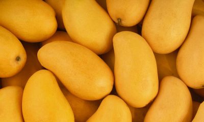 Contiene imagen de mangos