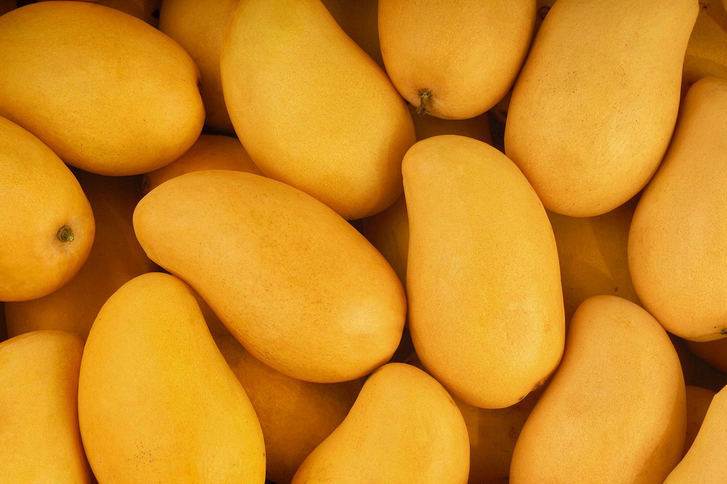 Contiene imagen de mangos