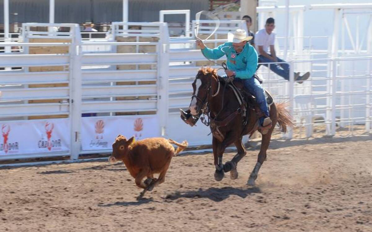 Sonora rodeo