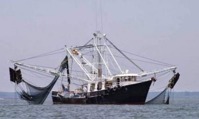 barcos pesqueros La Ribera Los Barriles