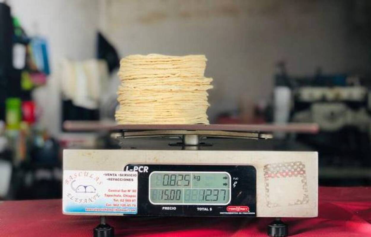 El gobierno de Diego Sinhue Rodríguez alista programa contra aumentos en precio de la tortilla