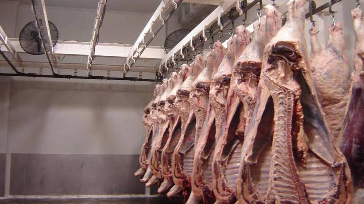 El conﬂicto entre Rusia y Ucrania beneficia a la exportación de carne en Guanajuato