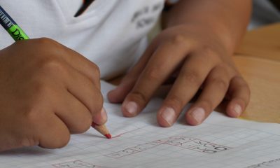 Propuesta del gobierno para transformar el modelo educativo dañará nuestra infancia: Coparmex