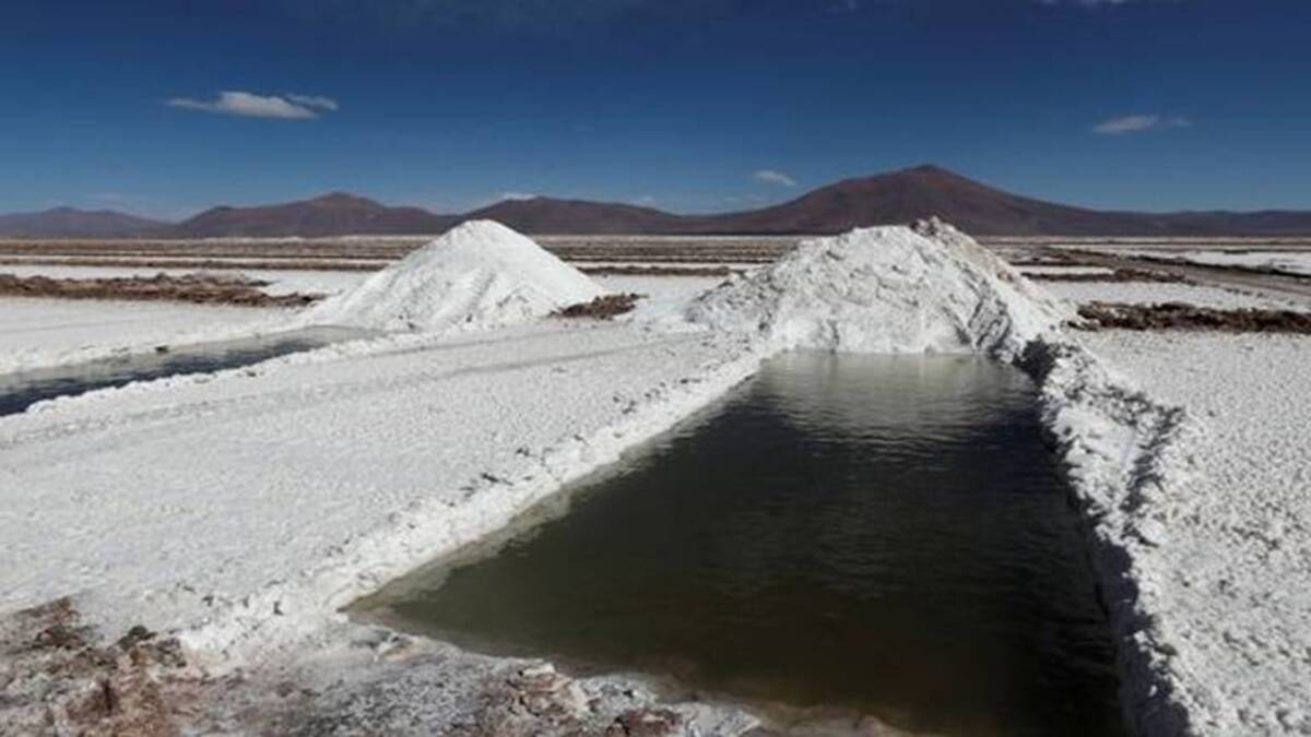 El Servicio Geológico Mexicano no genera recursos económicos por el litio: Economía