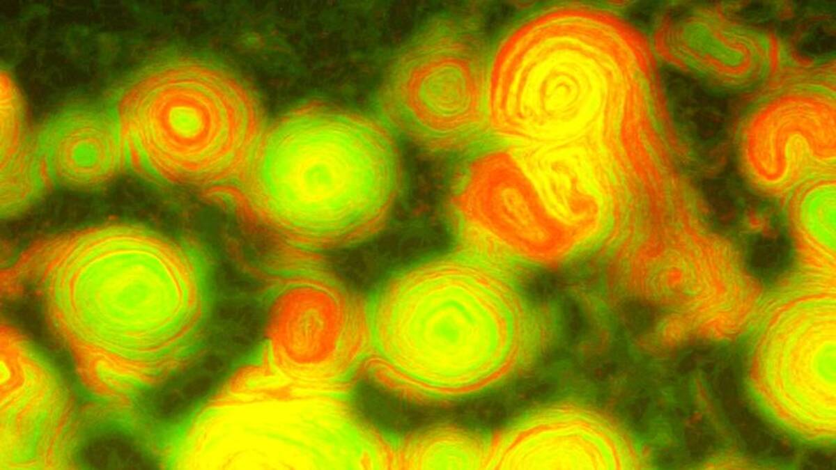 Científicos descubrieron bacterias depredadoras semejantes a una pintura de Van Gogh