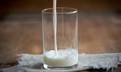 Prevén disminución de 3% en producción de leche durante este año 