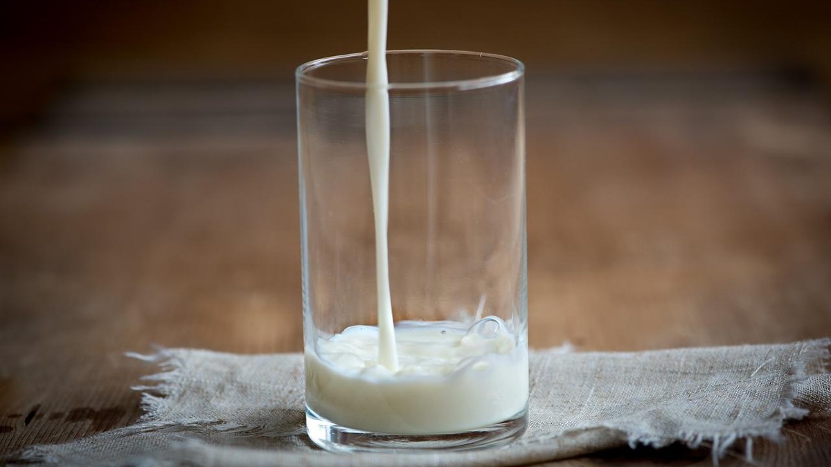 Prevén disminución de 3% en producción de leche durante este año 