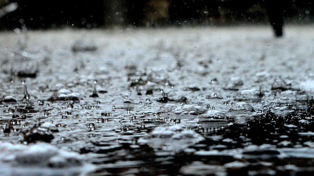 Movimiento Ciudadano exige apoyar a los  Nidos de Lluvia, un programa para recolectar agua pluvial
