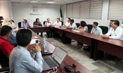 Municipios convertirán a Sonora en potencia productora de bacanora con viveros comunitarios