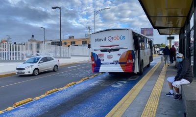 Crean fideicomiso para dar transparencia al transporte público en Querétaro